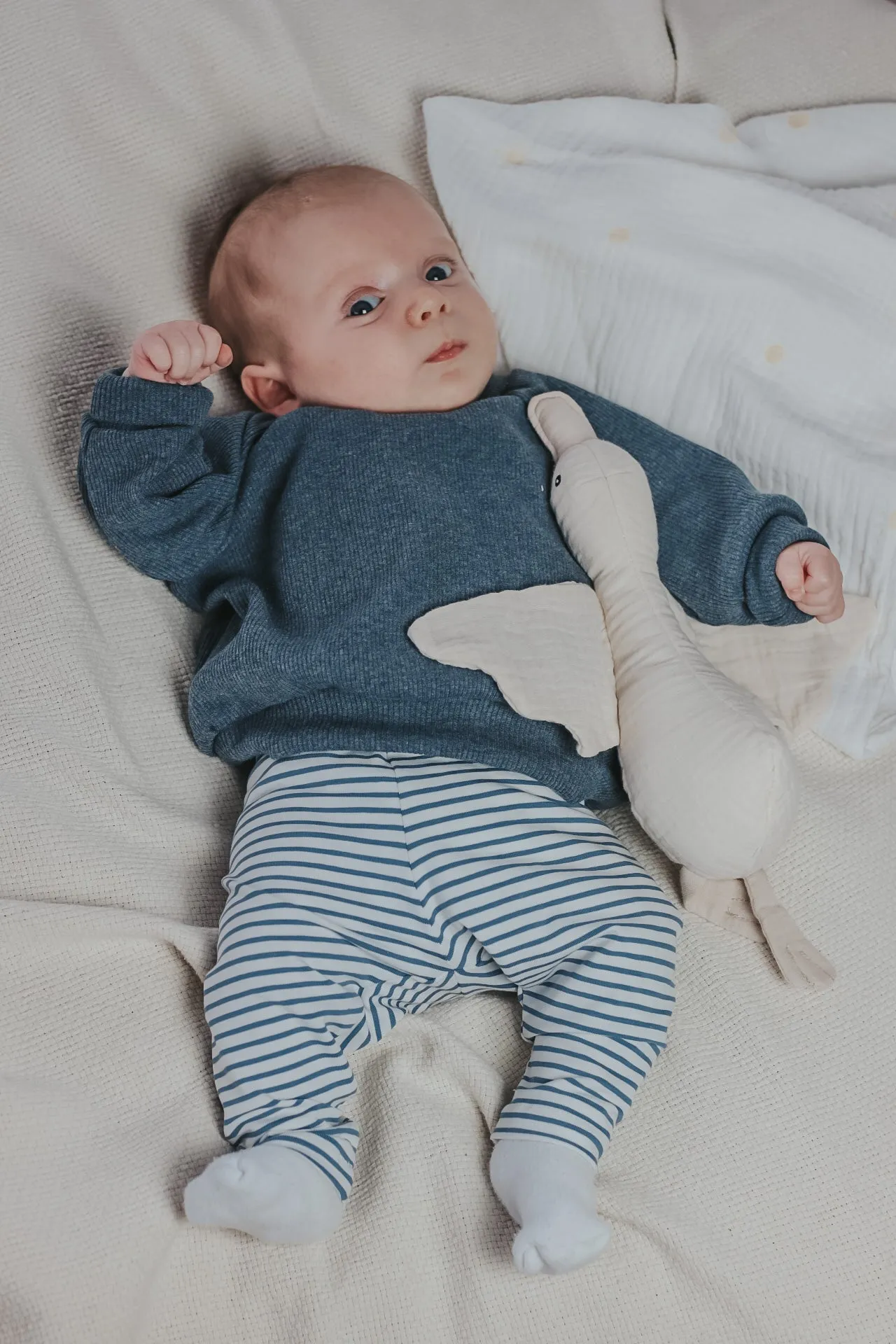 Outfits Stripes aus der Newborncollection