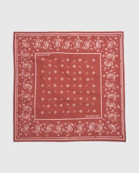 TerraDye Paisley Bandana - Charcoal, Currant