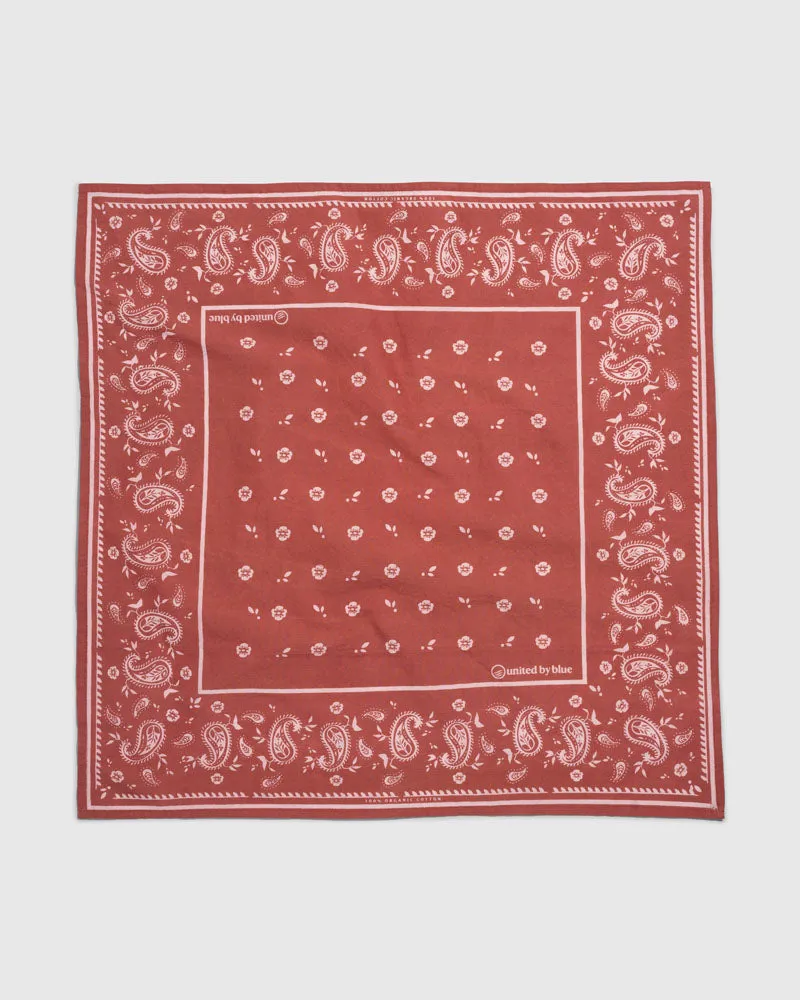 TerraDye Paisley Bandana - Charcoal, Currant